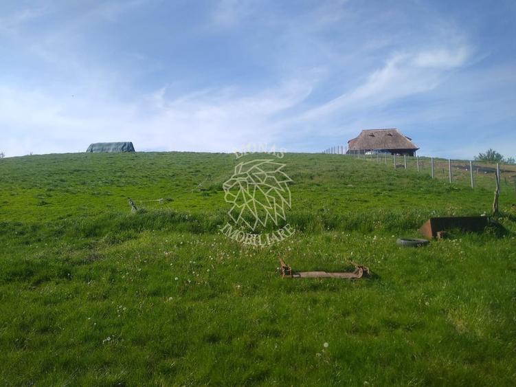 Teren agricol extravilan de 2500 mp, în Monariu