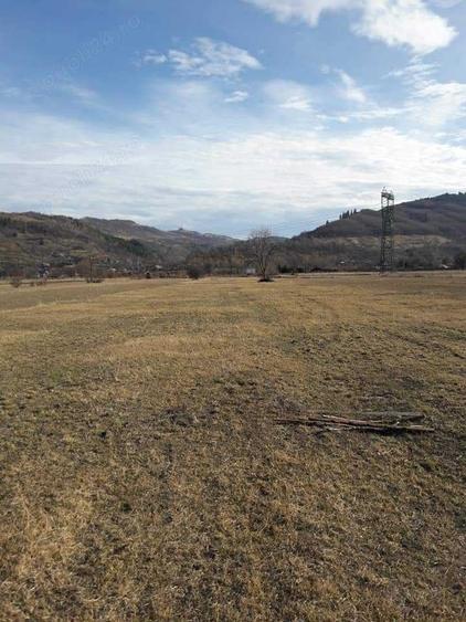 Teren de 4488 mp, în Pângărați