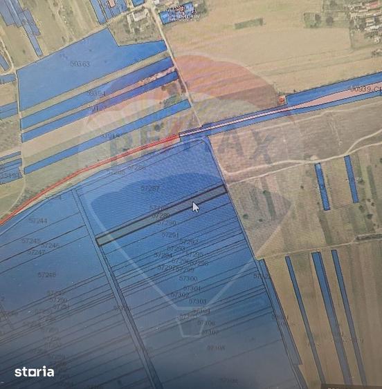 Teren de 5000 mp, în Moara Vlăsiei