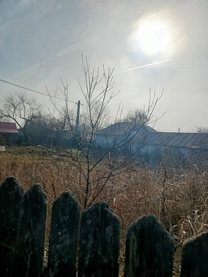 Teren de 12500 mp, în Brănești