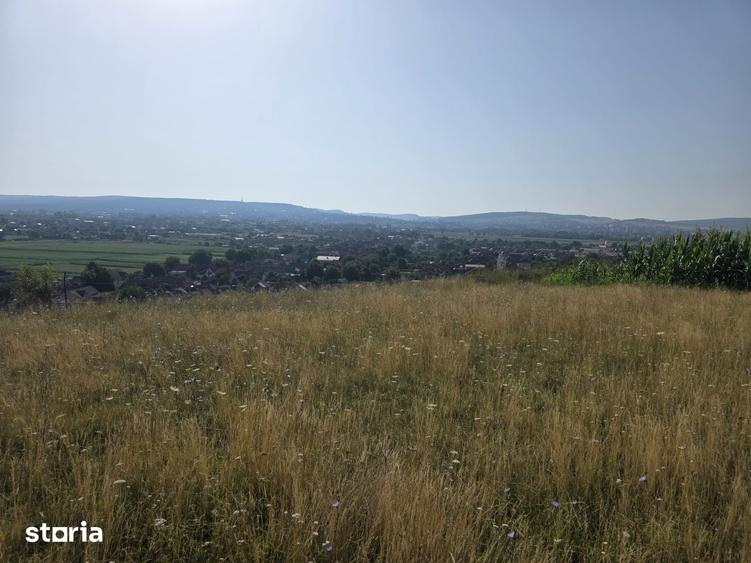 Teren de 5800 mp, în Sâncraiu de Mureș