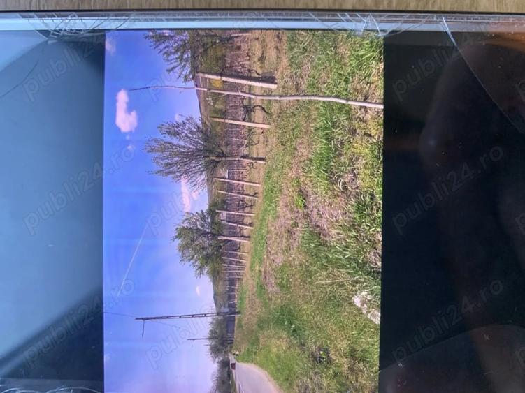 eren intravilan 3.000 mp Pietroasele Clondiru de Sus utilita?i bran?ate - 4