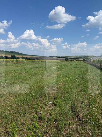 Teren Construcții intravilan de 1000 mp, în Zăicești