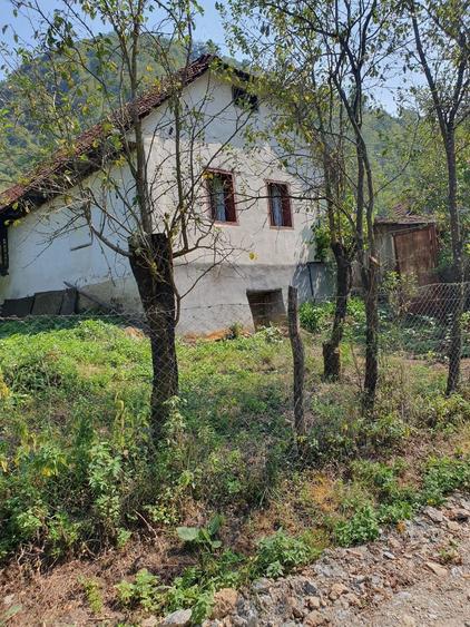 Casă cu 3 camere în Lugoj