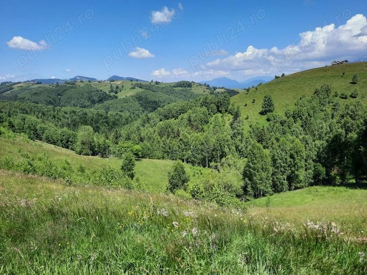 Teren de 40000 mp, în Șirnea