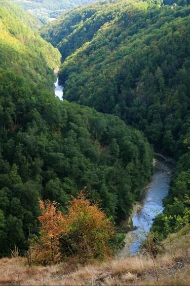 Teren de 4000 mp, în Berchez