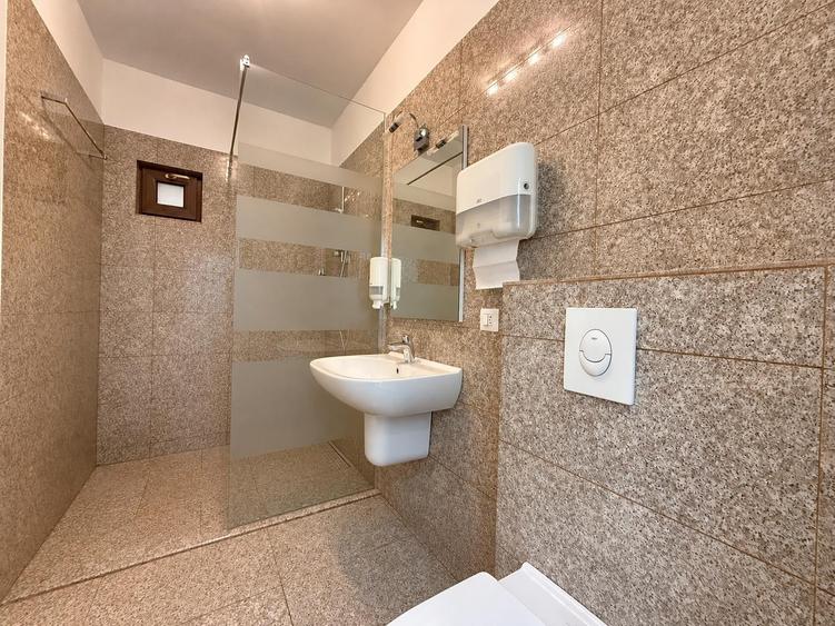 2 camere  Central  Renovat complet  Garaj + Boxă  Centrala+incalzire pardoseala - 10