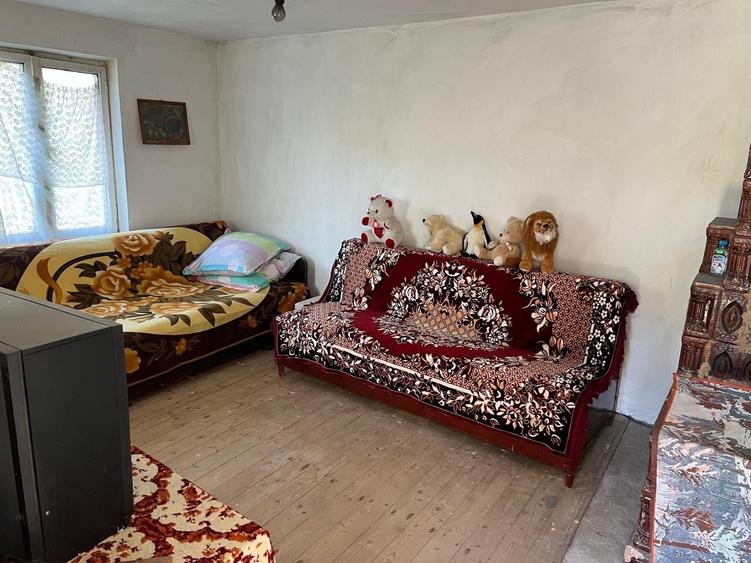 Casă cu 2 camere în Dobroteasa