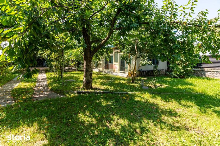 Casă cu Teren 3425 Mp în Gura Vitioarei