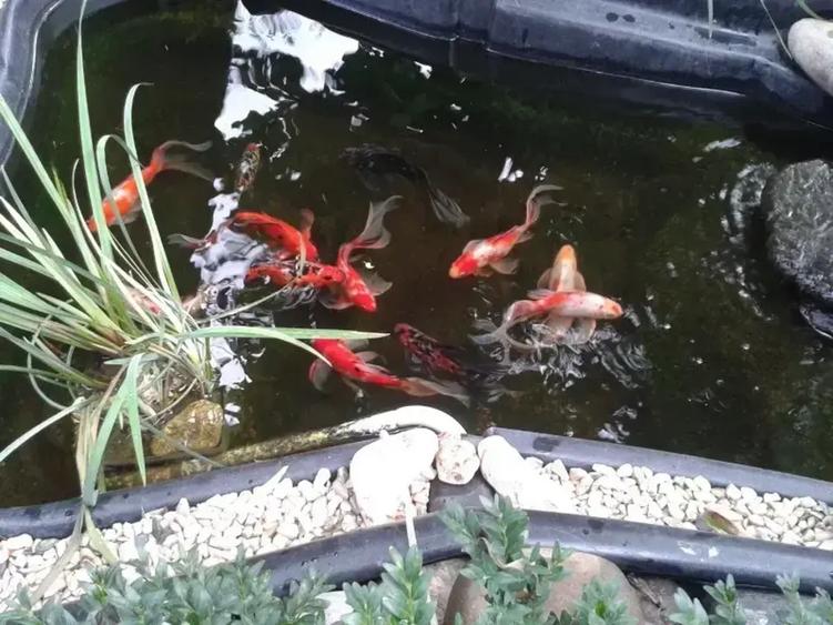 Casă individuală cu 3 camere cu Canalizare în Vest