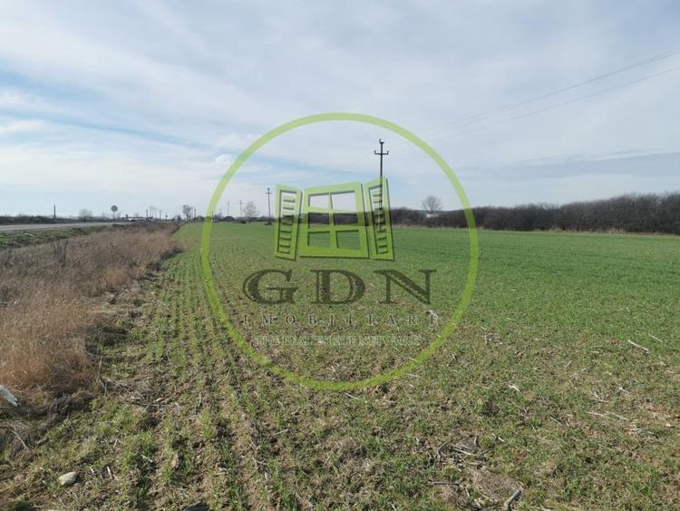 Teren agricol extravilan de 21496 mp, în Săcădat
