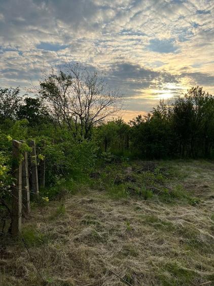 Teren Construcții intravilan de 1246 mp, în Vadu Anei