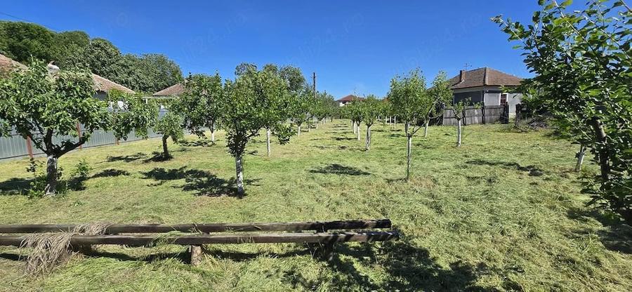 Casă cu Teren 2350 Mp în Jiana