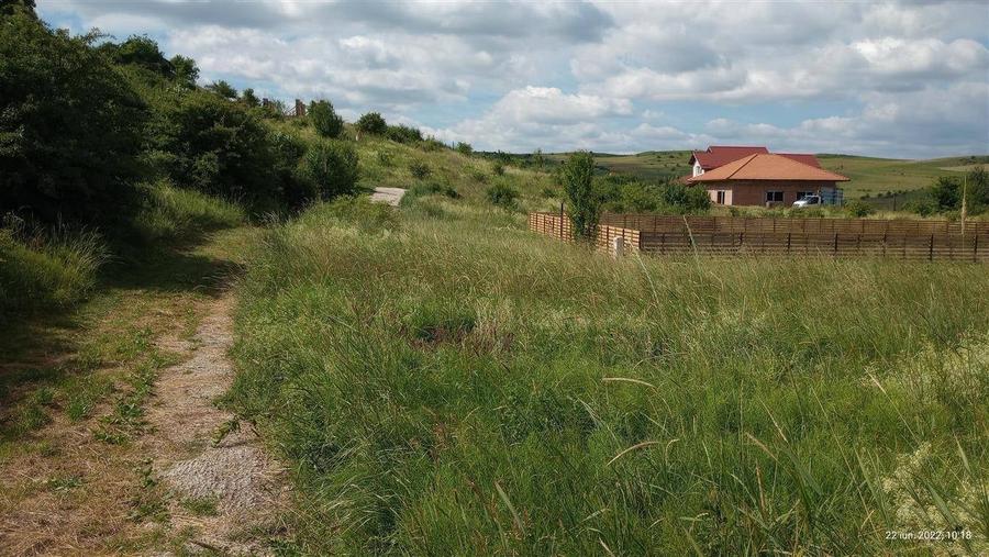 Teren de 966 mp, în Chinteni