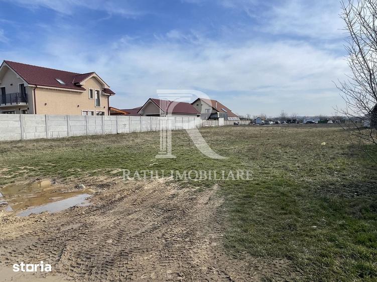 Teren de 1000 mp, în Nufărul
