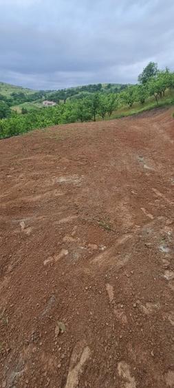 Teren Construcții intravilan de 729 mp, în Suceagu