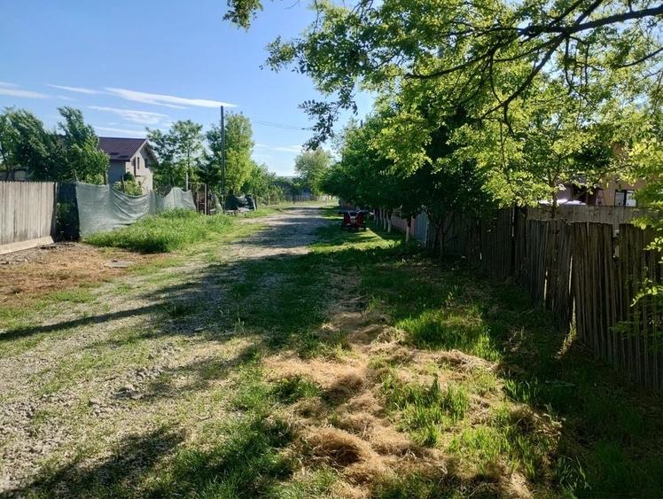Casă cu 3 camere în Prisăcani