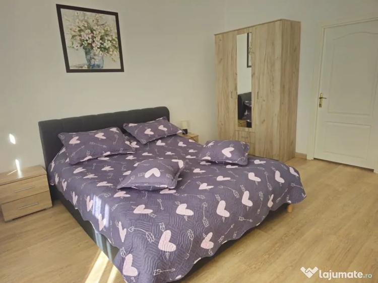 Apartament cu 2 camere, 55mp, la curte comuna, in zona Centr - 7
