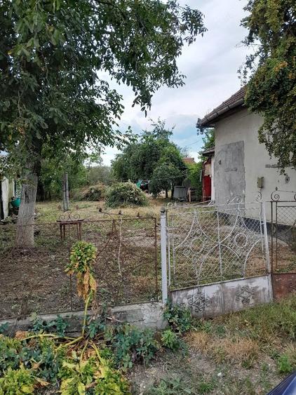 vand casa in Lunca Mure?ului - 1