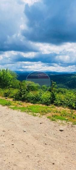 Teren agricol intravilan de 3690 mp, în Șuncuiuș