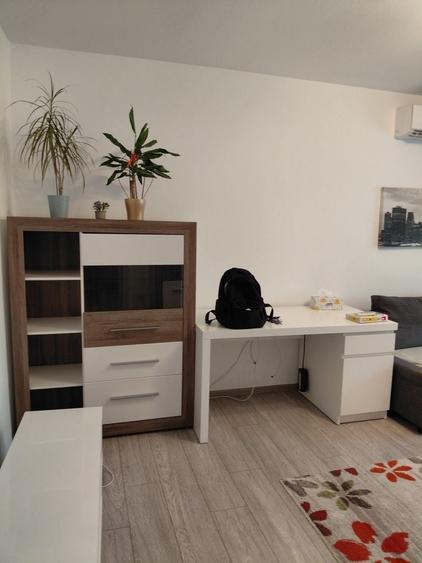 Apartament cu 3 camere decomandat în Exterior Vest