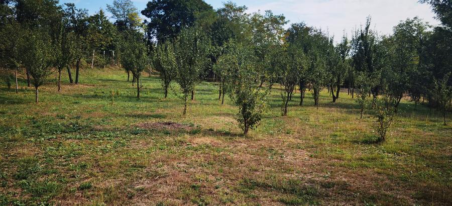 Teren Construcții intravilan de 1400 mp, în Est
