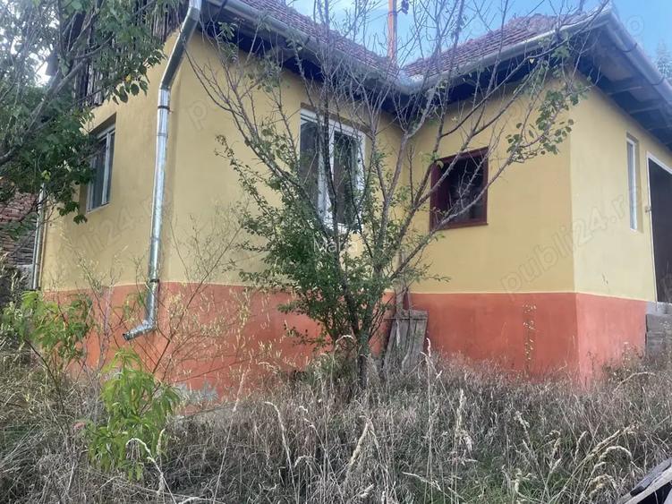 Casa de vinzare la tara