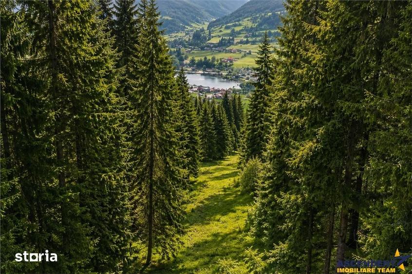 Teren de 7800 mp, în Lunca