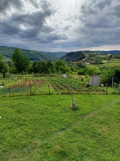 Casă cu 3 camere cu Teren 2931 Mp în Bălnaca