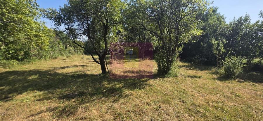 Teren intravilan de vanzare 3375 mp in Brebu - 3