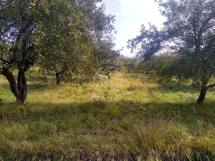 Teren agricol extravilan de 1500 mp, în Nord-Est