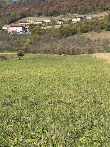 Teren de 7500 mp, în Central
