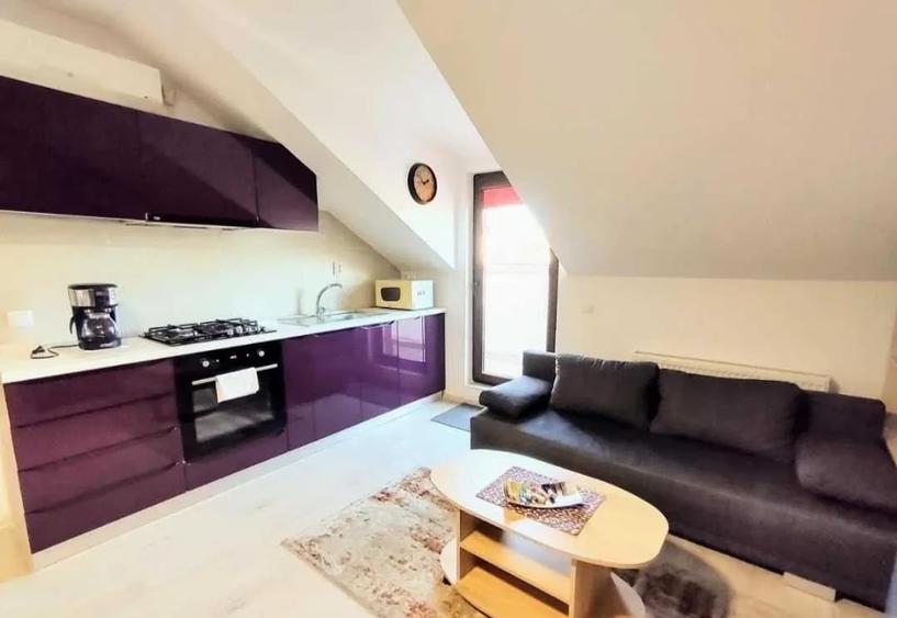 Apartament cu 2 camere decomandat, mobilat în Palat