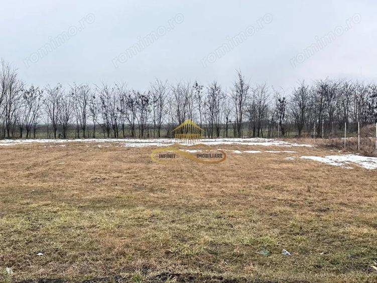 Teren de 900 mp, în Săucești