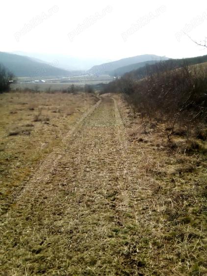 Teren de 1000 mp, în Central