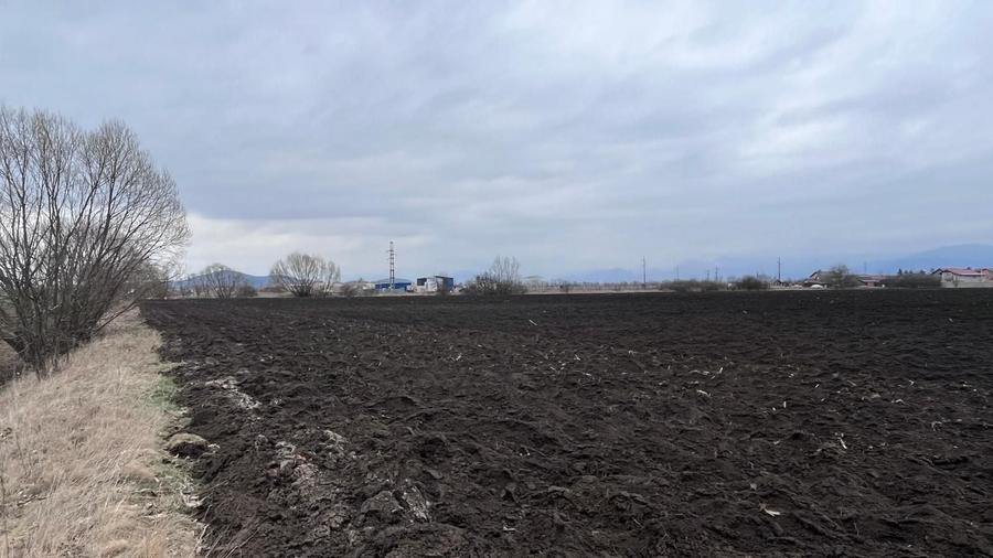 Teren agricol extravilan de 50000 mp, în Hălchiu