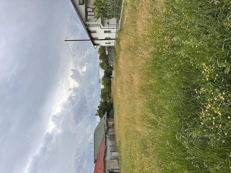 Teren de 1767 mp, în Lipănești