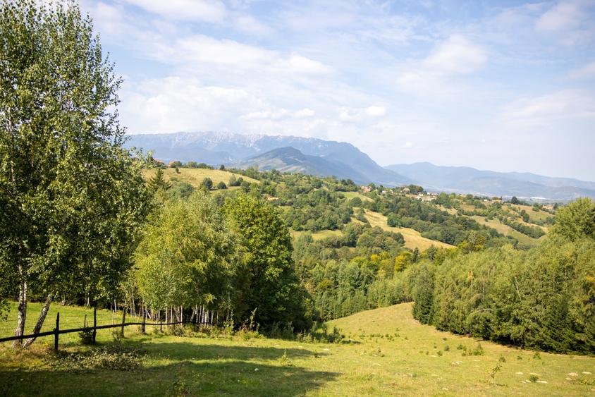 Teren Construcții extravilan de 10131 mp, în Bran