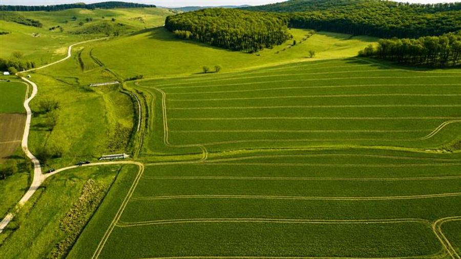 Teren extravilan de 23669 mp, în Sângeorgiu de Mureș
