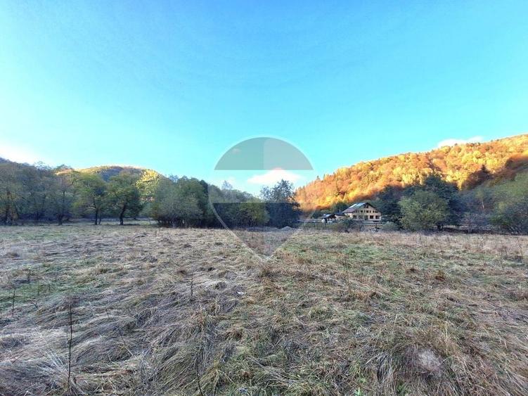 Teren agricol extravilan de 3981 mp, în Plaiul Foii