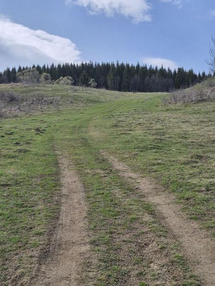 Teren Construcții intravilan de 1243 mp, în Trăisteni