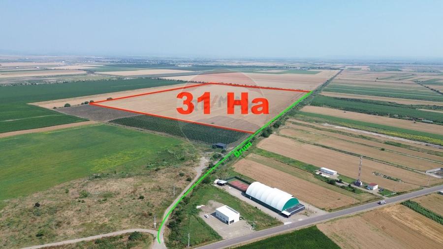 Teren agricol extravilan de 315258 mp, în Vânători