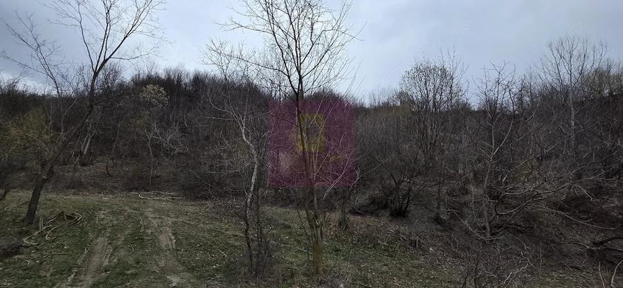 Teren de 1006 mp, în Brebu