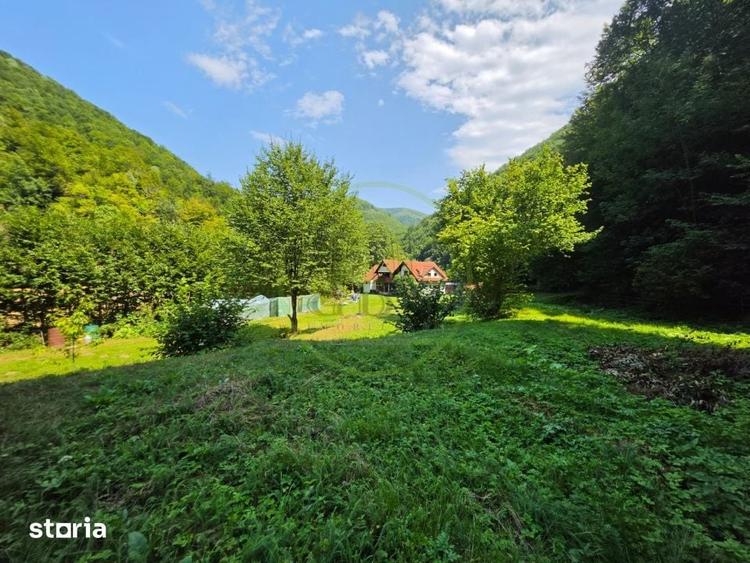 PROPRIETATE EXTRAORDINARA LOTRIOARA, JUDE?UL SIBIU! - 11