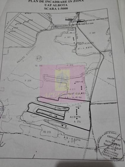 Teren agricol extravilan de 94000 mp, în Albota