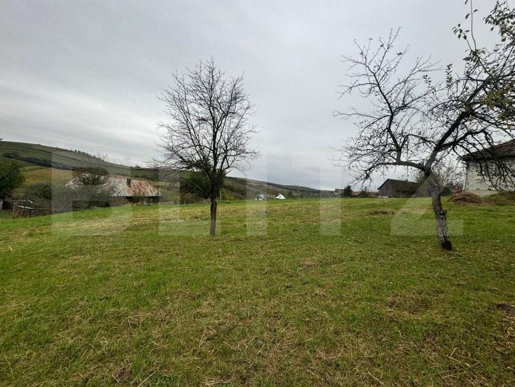 Casă individuală cu 5 camere cu Teren 3300 Mp în Sud