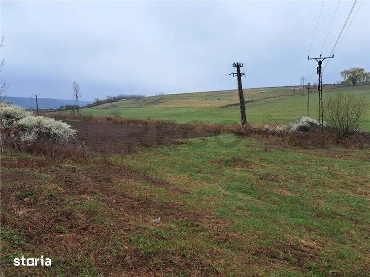 Teren de 10900 mp, în Central