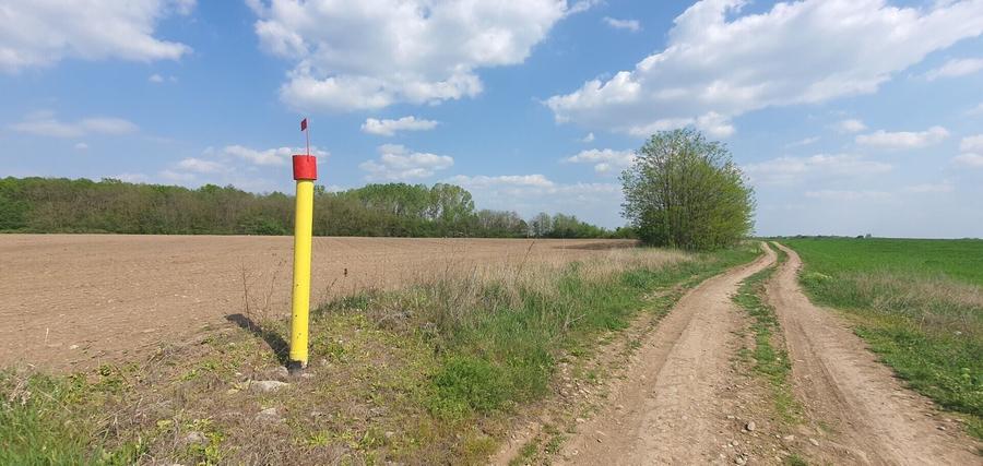 Teren agricol intravilan de 16872 mp, în Butimanu