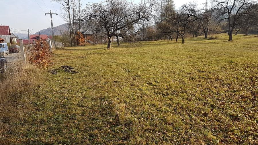 Teren Construcții intravilan de 7412 mp, în Bârsana