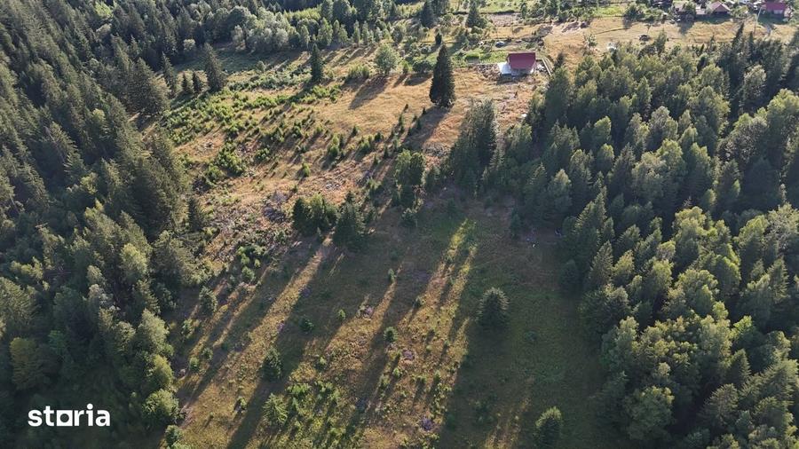 Teren de 15000 mp, în Uric